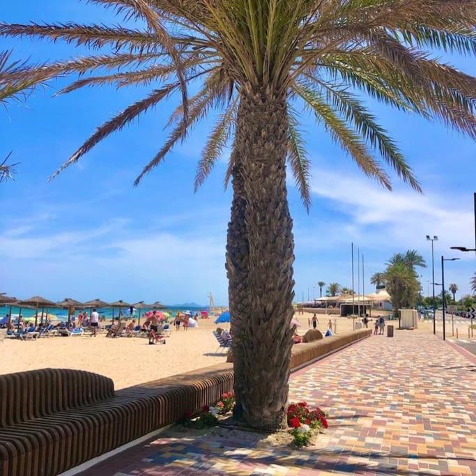 Casa Andres. Two Bed Penthouse Pool & Terrace Apartment Alicante Bagian luar foto