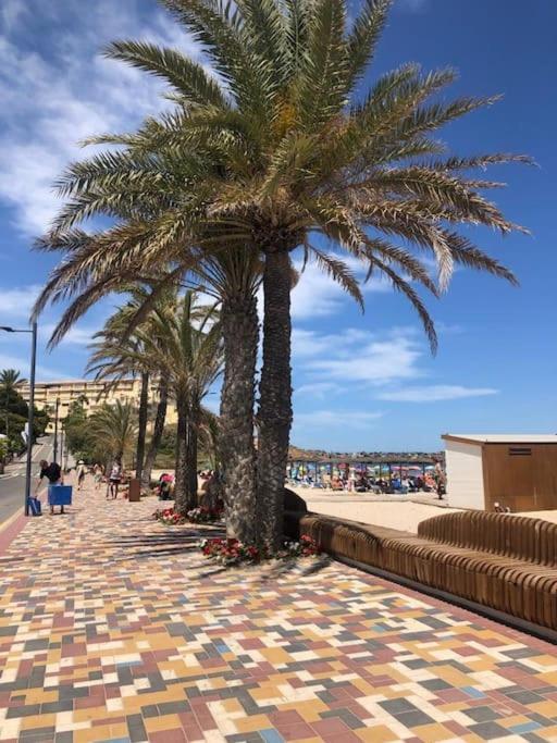Casa Andres. Two Bed Penthouse Pool & Terrace Apartment Alicante Bagian luar foto